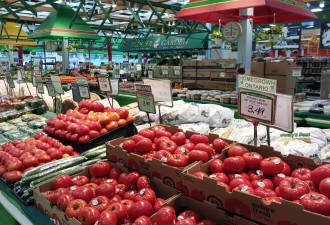 2025年加拿大各省食品杂货价格比拼：安省竟然最便宜！