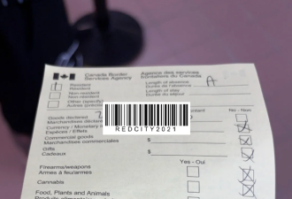 加拿大华人跨境购物遭严查+重税37%！有人当场交$227刀