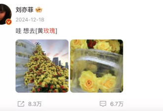刘亦菲余承东互关，冲上热搜！
