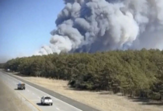 纽约长岛爆多起野火！1地进入紧急状态