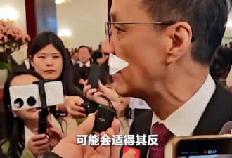 两会暴明星体制地位 这4位明星能被国家邀请认可
