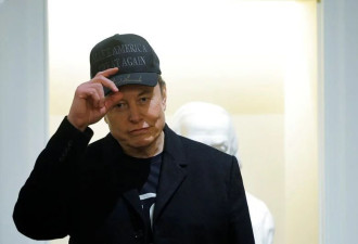 看准“川普红人” 传中资流入马斯克旗下企业