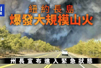 纽约长岛爆发大规模山火 州长宣布进入紧急状态