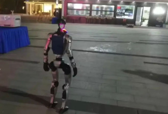 春晚同款机械人成“天价打工仔” 日租金飙至万元仍一机难求