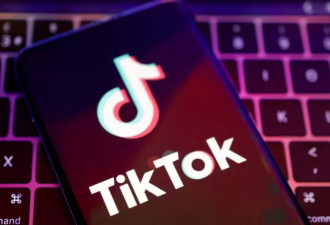 美国政府接触四个团体，考虑收购TikTok