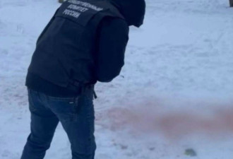 悲剧：9岁女童雪地玩耍被狗群撕咬成碎片惨死
