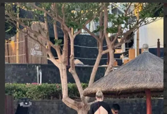 撒贝宁三亚护妻被拍！李白热裤长腿引围观， 网友：撒老师压力山大