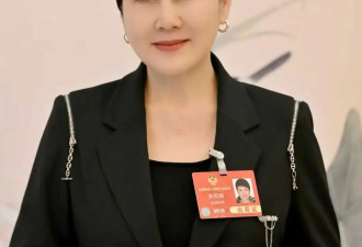 全国政协委员张凯丽：建议设置演出票最高限价，提高黄牛成本