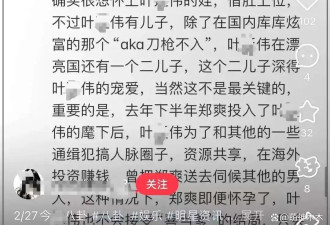 郑爽小三风波升级 傍上通缉犯借肚上位