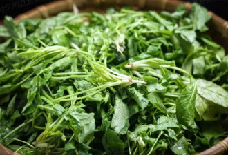 这种菜钙含量是牛奶的 3 倍 错过又要等一年