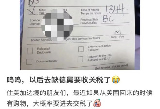 华人注意！从美国回来超额购物直接加收25%！跨境买买买要凉！