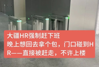 人生第一次被赶出公司