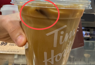 惊爆！多伦多Tim Hortons咖啡"泡蟑螂"，顾客喝后全生病