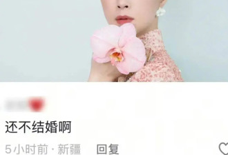 结婚才不是人生必选项？内娱拽妃上大分！