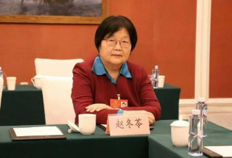 赵冬苓代表：DeepSeek会取代平庸的编剧