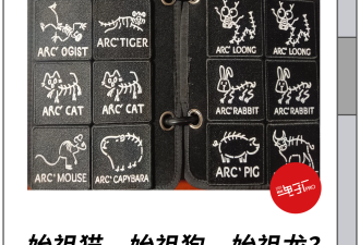 一张吊牌300块，那些穿假始祖鸟的人到底图个啥
