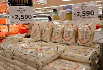 川普大刀挥向日本?炮轰日本对美征700%关税,疯了