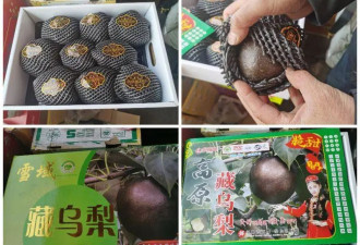 起底“藏乌梨”骗局：普通梨高温加工而成 ...