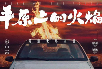 周冬雨刘浩存新片票房口碑不及预期，国产文艺片没人看了吗？