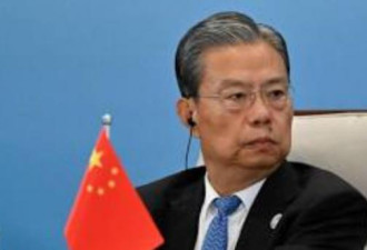 赵乐际缺席尘埃未定，蔡奇突然宣布整风