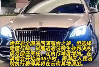 女歌手全国巡回演唱会后被抓 因隐匿行踪故意规避法院生效判决