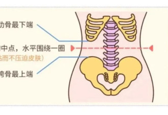 胖不胖不能只看体重，关键在 1 个指标