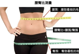 胖不胖不能只看体重，关键在 1 个指标