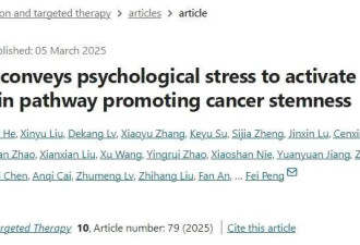 最新研究证实：压力大真的会促癌
