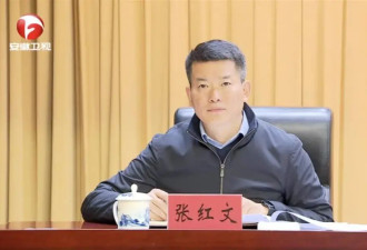 张红文已不再担任安徽省委常委、合肥市委书记