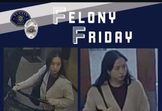 长发飘飘面容白净 这位华裔女子竟是惯偷