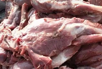 狐貉胴体黑市：未检疫禁食用狐貉肉销往多地