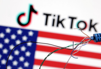 万斯预计 TikTok出售协议有望下月达成