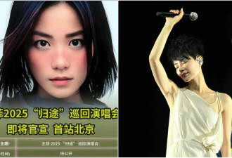 经纪人否认王菲开巡回演唱会：全部是假消息，并无此事