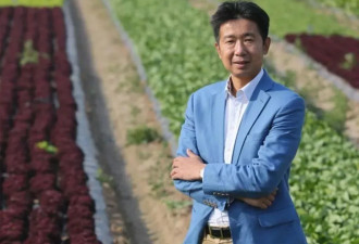 年入10亿！山东大叔卖生菜，干到亚洲第一