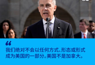 加拿大总理卡尼：我们永远不会成为美国的一部分