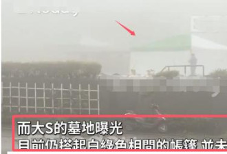 大S生前风光身后事潦草 墓地未完工便下葬
