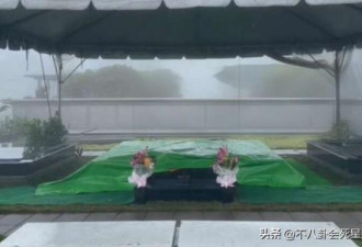 大S生前风光身后事潦草 墓地未完工便下葬