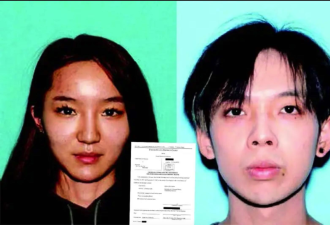 又见杀猪盘：日裔长者退休金被骗光