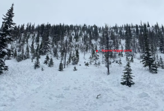 加拿大滑雪胜地突发雪崩！2人被冲出50米+活埋2米雪下！当场死亡