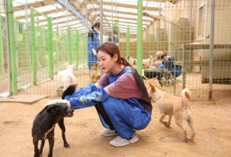 金赛纶离世：逾5万人联署 要求立法规管爆料网红