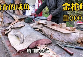 尝一口山东大集的金枪鱼，好像在和僵尸接吻