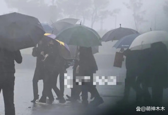 小S终于现身！安葬大S悲痛欲绝，被许雅钧和大姑扶着走出墓园