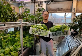 中国医生成南极种菜高手 吸引俄罗斯人来蹭饭