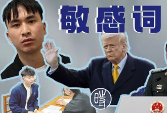 敏感词库:"民营企业"的软审查,"对台新闻"的全面审查