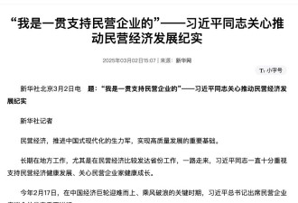 敏感词库:"民营企业"的软审查,"对台新闻"的全面审查