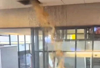 天屎降淋！荷兰大学污水管爆裂 粪水瀑布狂泻 学生尖叫逃躲