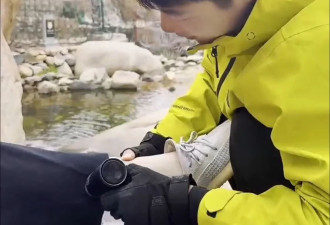 揭秘泰山“陪爬者”：年入30万元是极少数 多数从事者视其为“过渡”