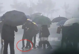 台媒直击大S安葬现场！“白发苍苍”小S哭到站不稳超惨
