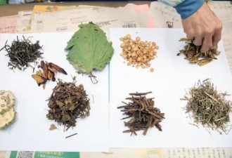 DeepSeek看中医：开的药方有哪些隐忧？