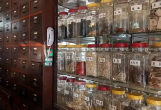 DeepSeek看中医：开的药方有哪些隐忧？